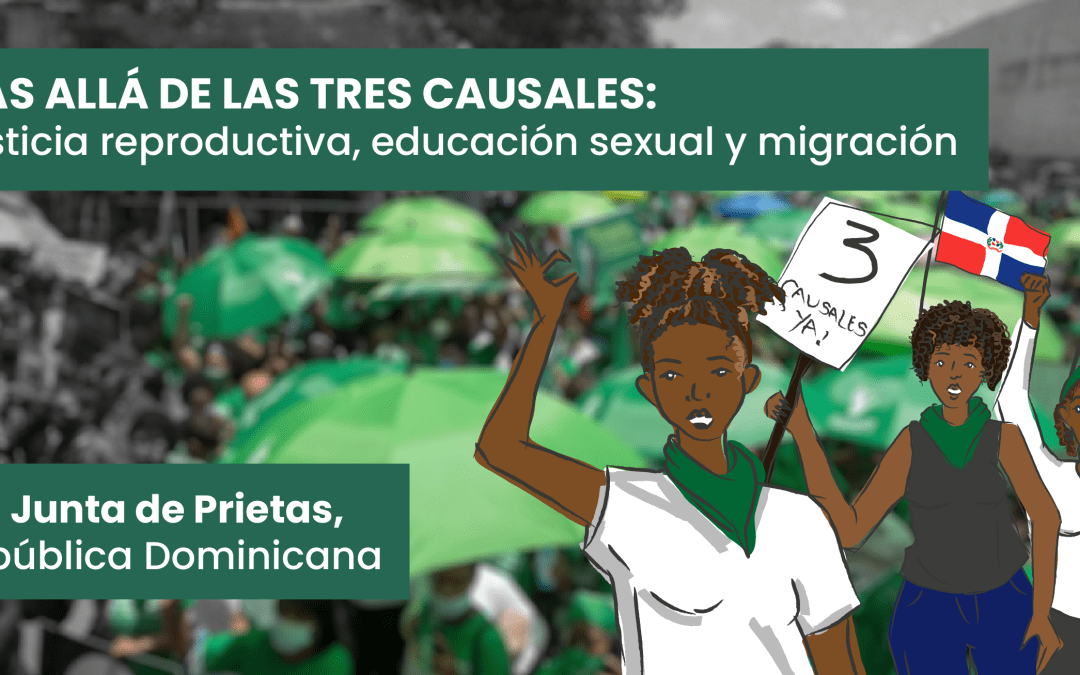 Más allá de las tres causales: justicia reproductiva, educación sexual y migración